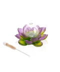 Jardin de Lotus Soliflore Violet-vert - Daum