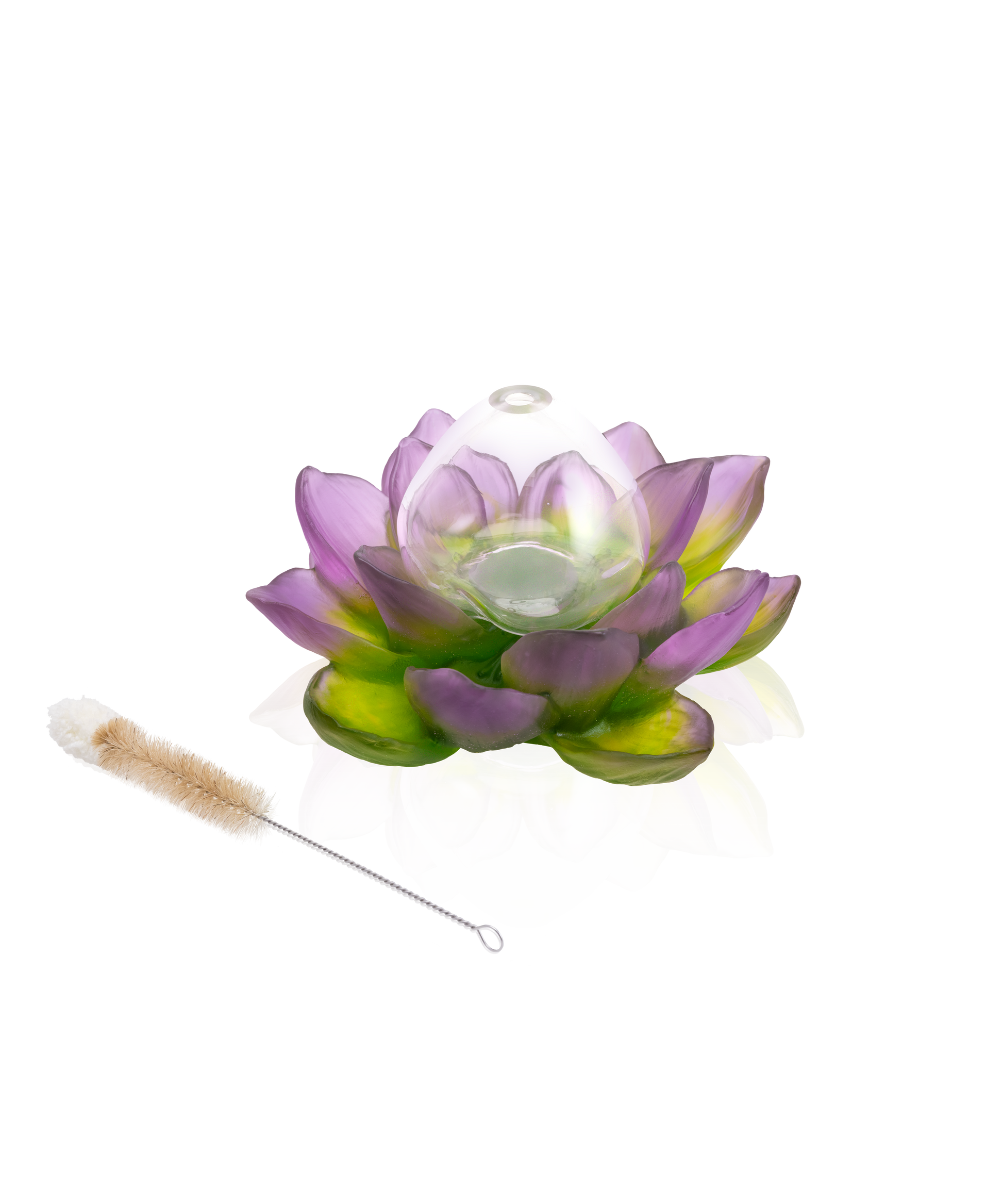 Jardin de Lotus Soliflore Violet-vert - Daum