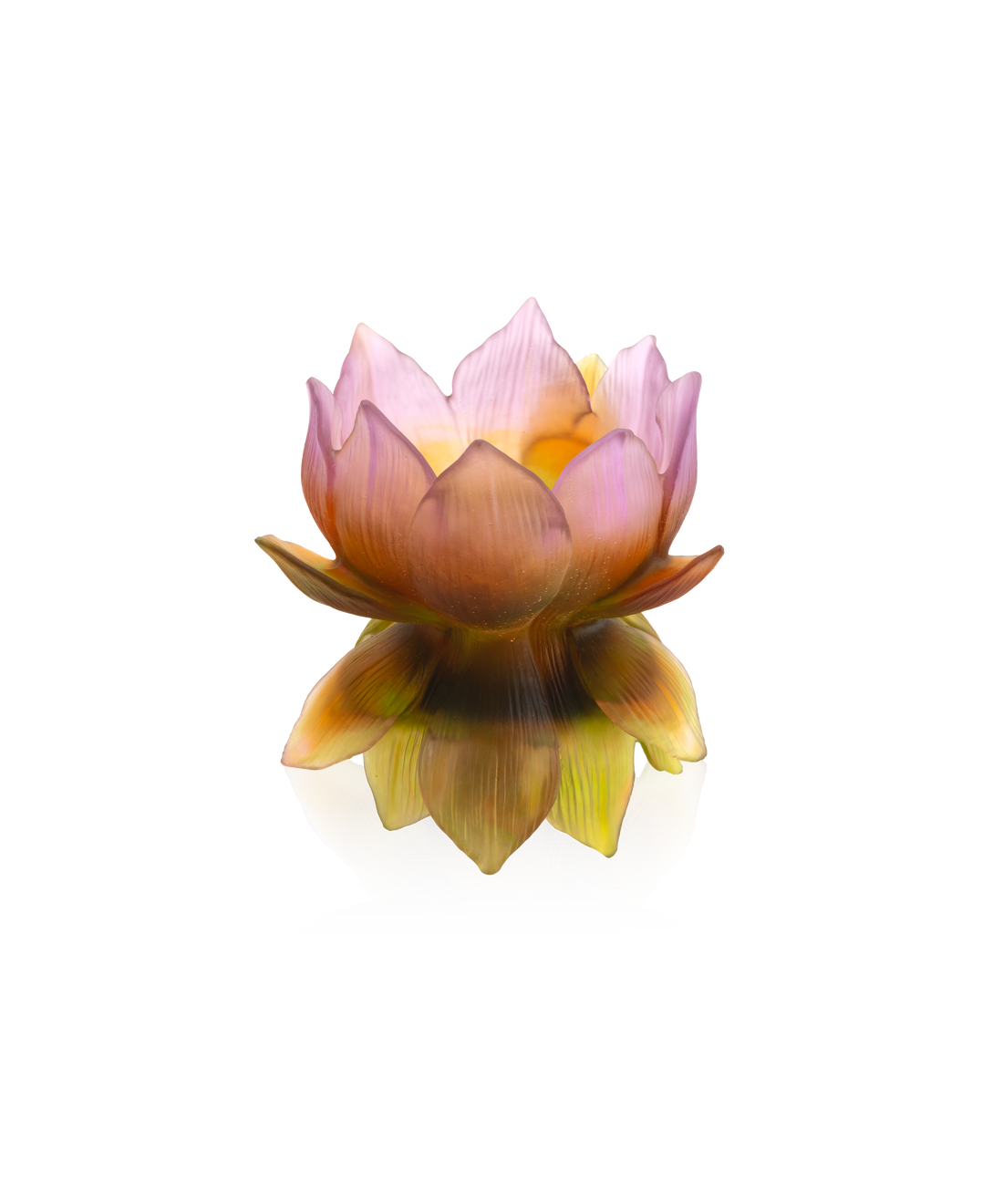 Jardin de Lotus Vase moyen modèle 175ex - Daum