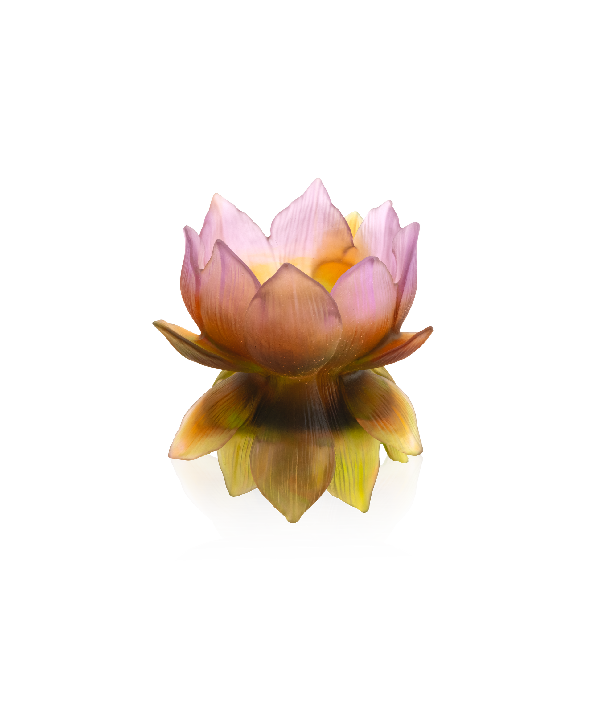 Jardin de Lotus Vase moyen modèle 175ex - Daum