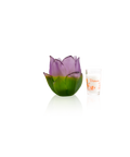 Jardin de Lotus Vase-photophore 250ex - Daum