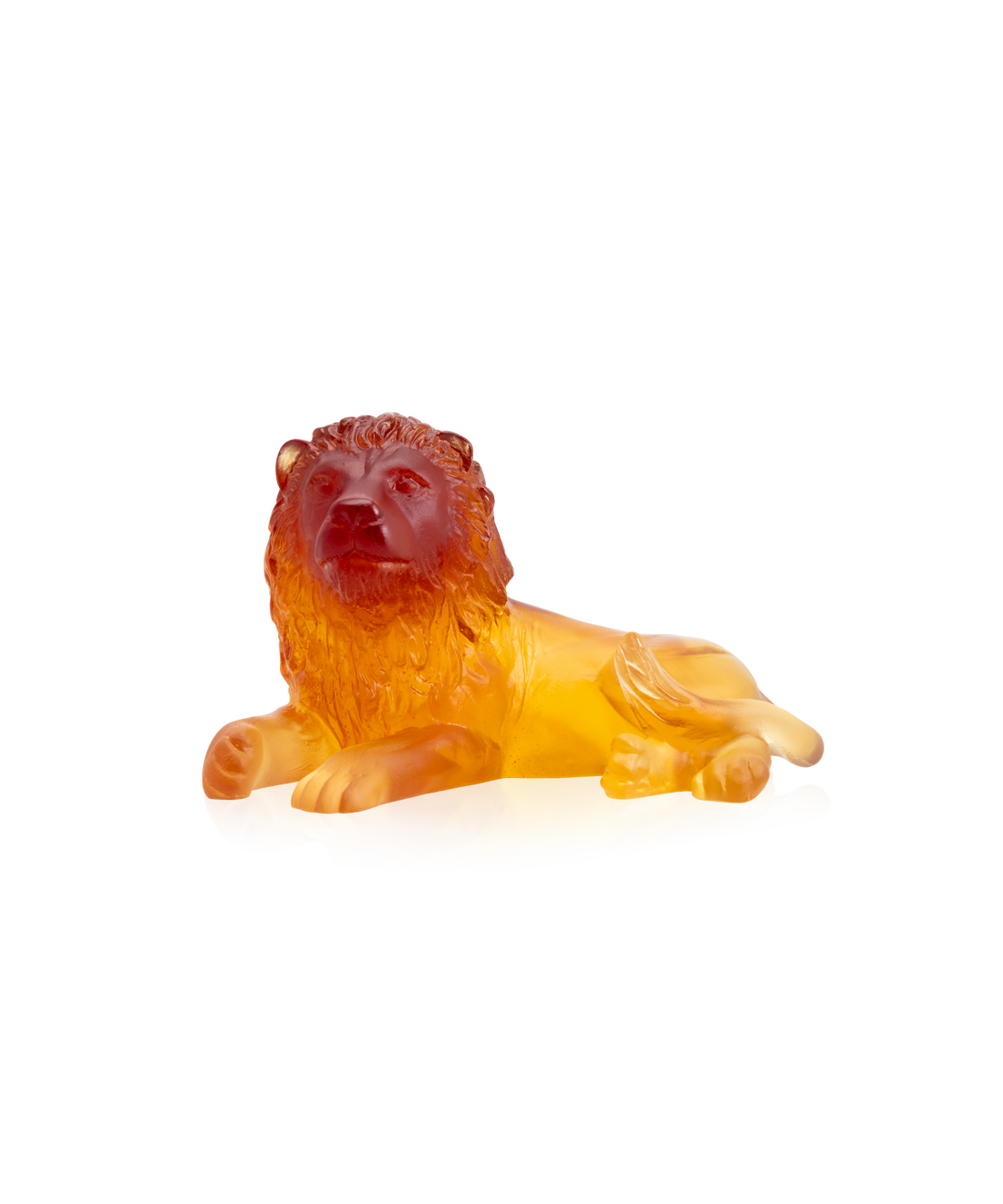 Lion - Daum
