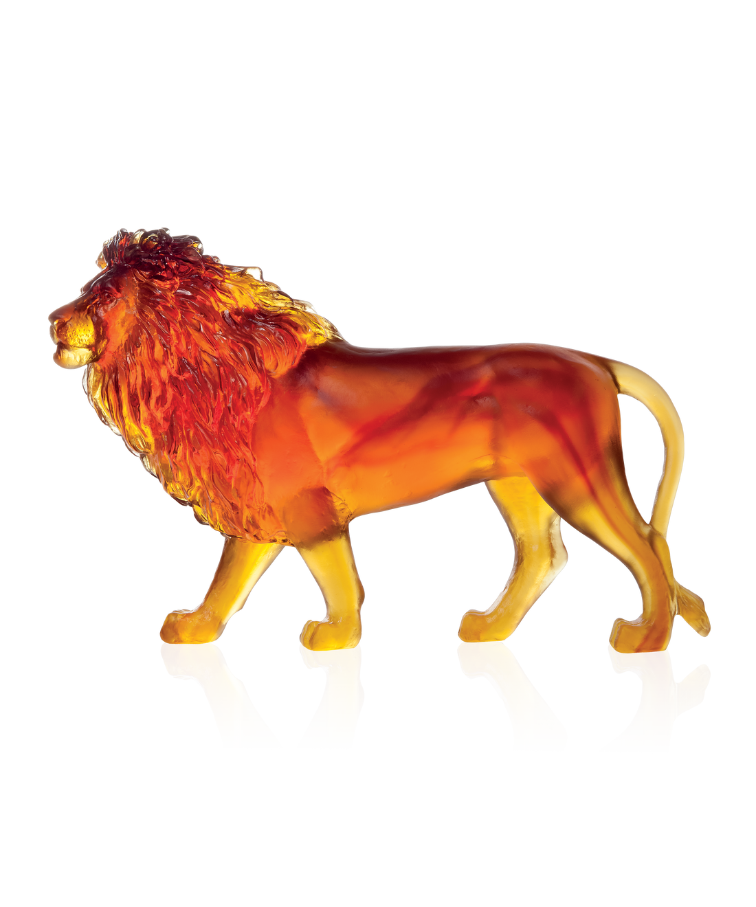 Lion sand Ambre 500ex - Daum