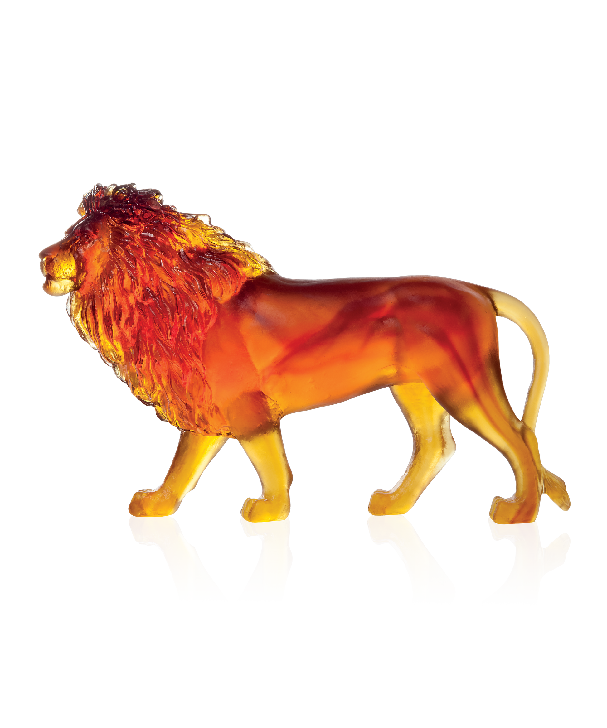 Lion sand Ambre 500ex - Daum