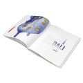 Livre Daum - Collabs in Crystal Art Couverture 