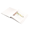 Livre Daum - Collabs in Crystal Art Couverture 