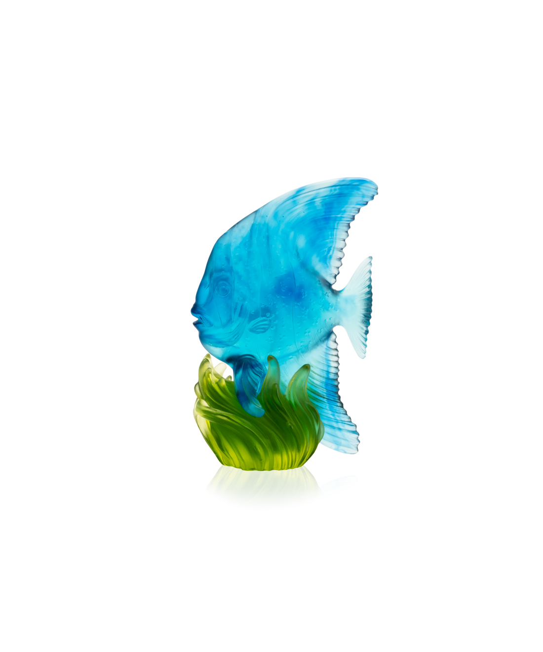Maya Platax moyen modèle Bleu et vert