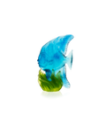 Maya Platax moyen modèle Bleu et vert