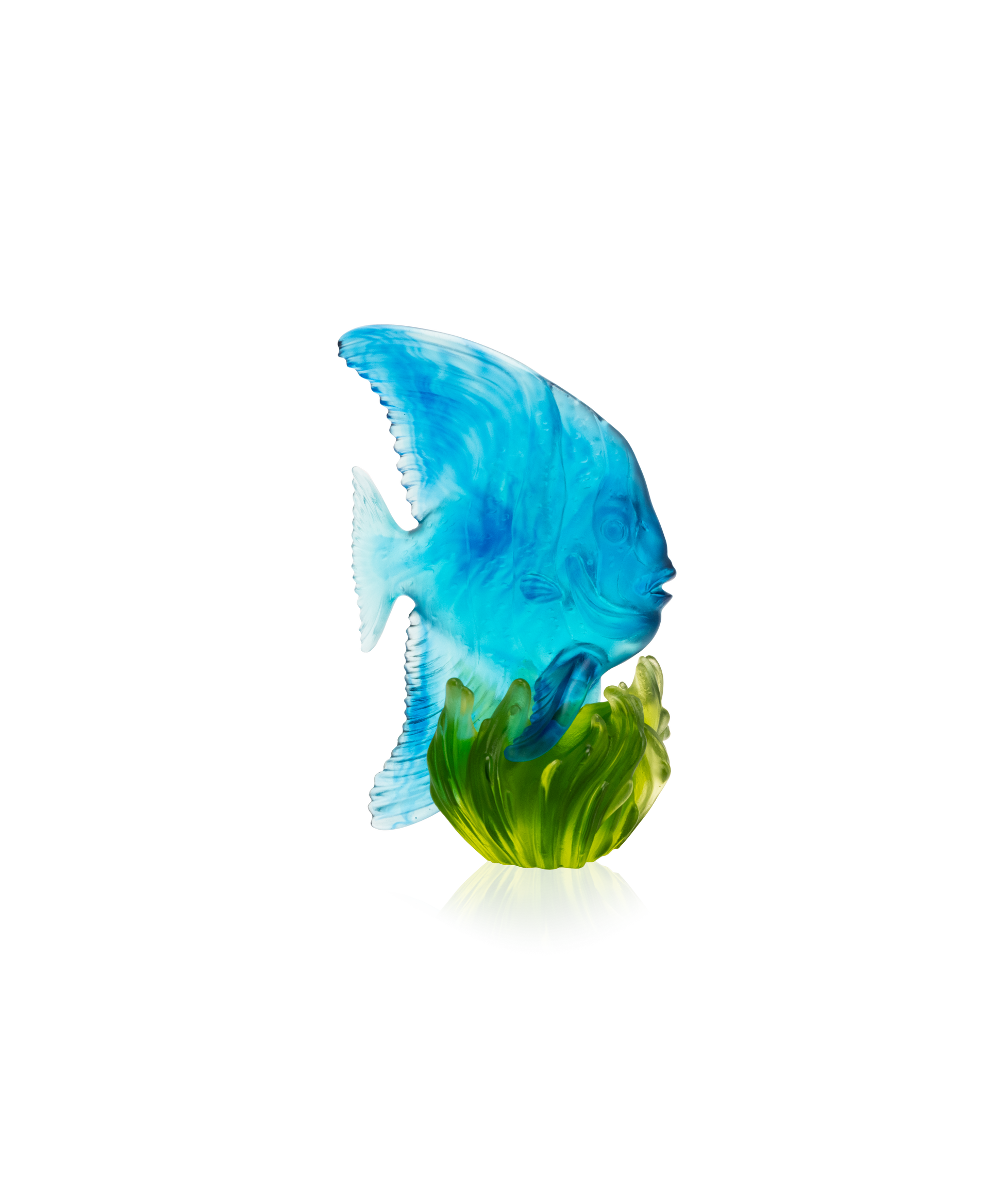 Maya Platax moyen modèle Bleu et vert
