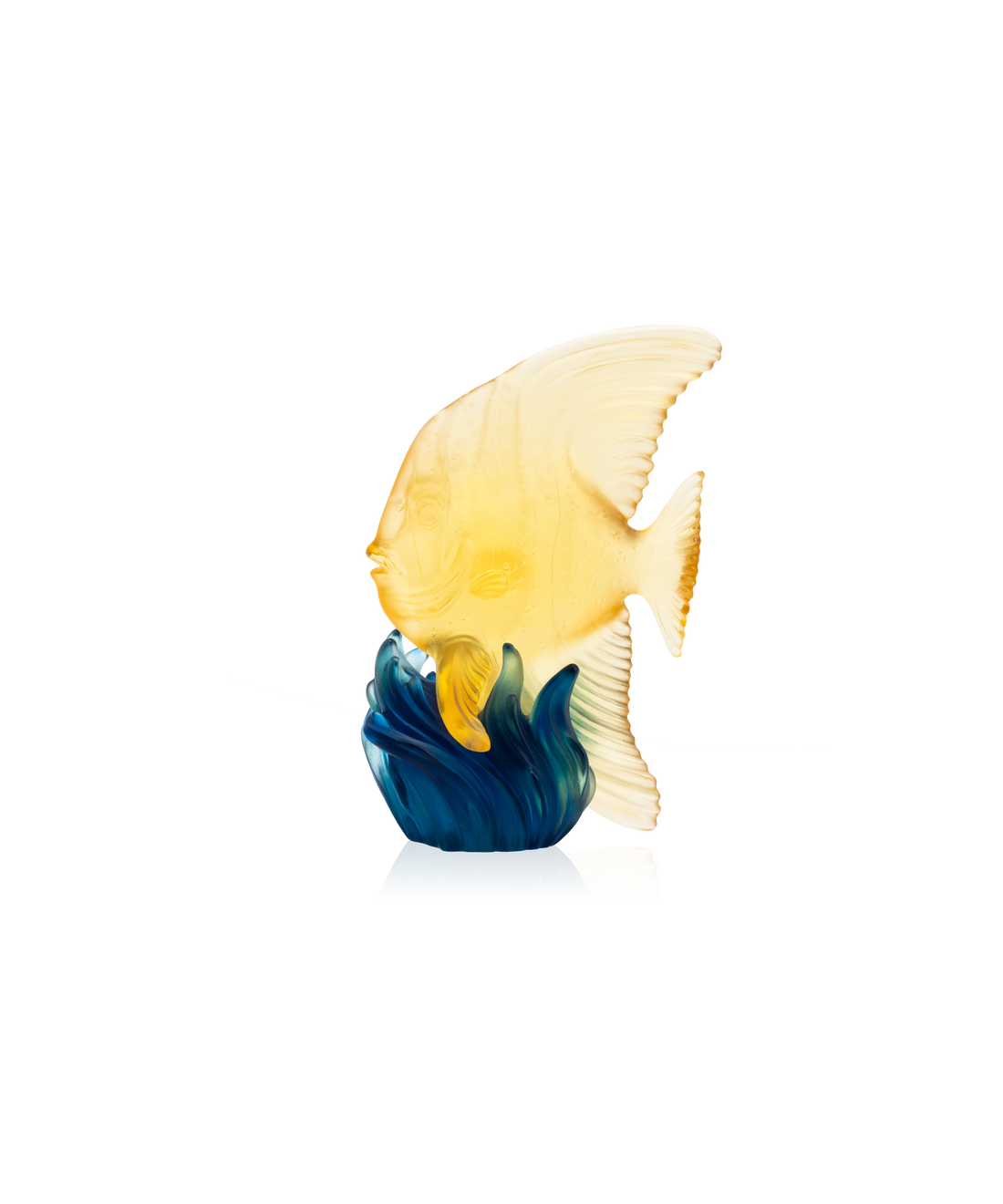 Maya Platax moyen modèle Jaune et bleu - Daum
