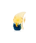 Maya Platax moyen modèle Jaune et bleu - Daum