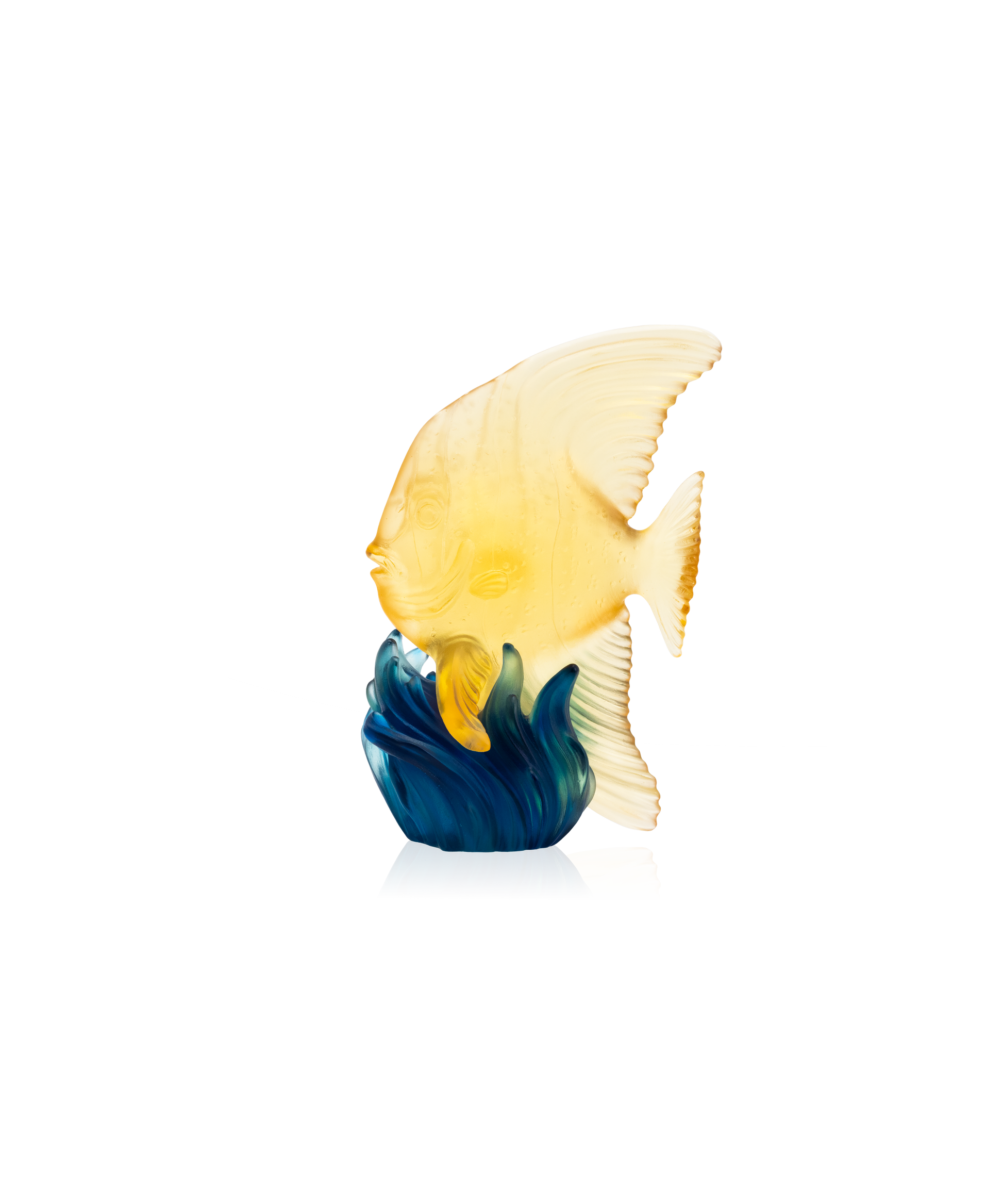 Maya Platax moyen modèle Jaune et bleu - Daum
