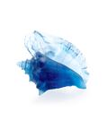 Mer de Corail Coquillage conque - Daum