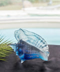 Mer de Corail Coquillage conque - Daum
