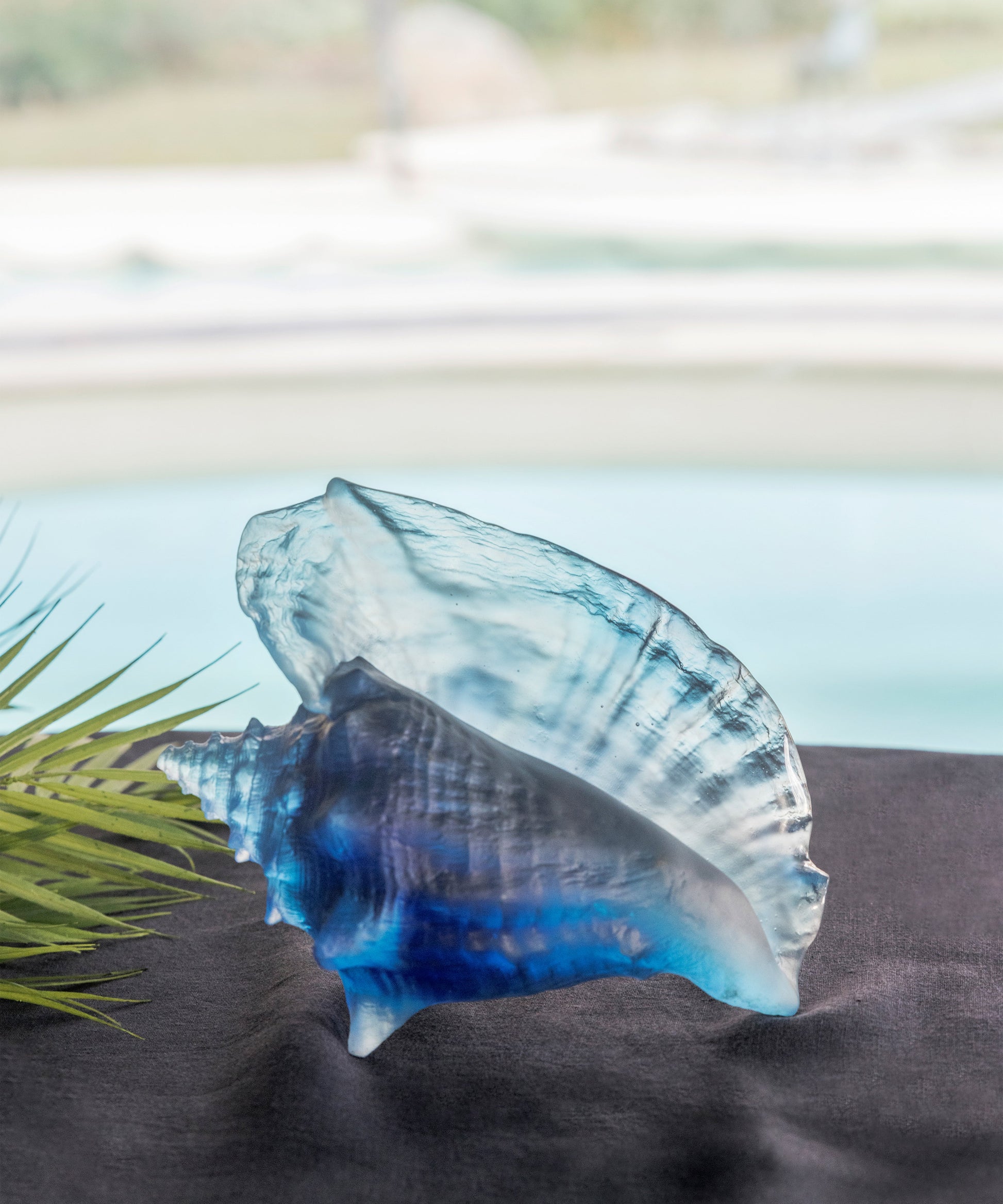 Mer de Corail Coquillage conque - Daum