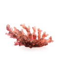Mer de Corail Coupe moyen modèle Ambre rouge - Daum
