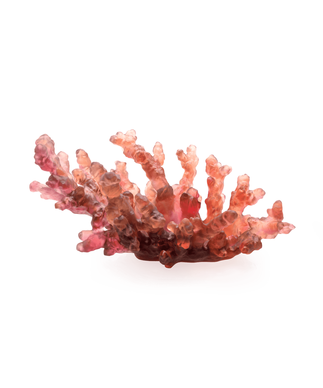 Mer de Corail Coupe moyen modèle Ambre rouge - Daum