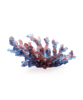 Mer de Corail Coupe moyen modèle Bleue et rouge - Daum