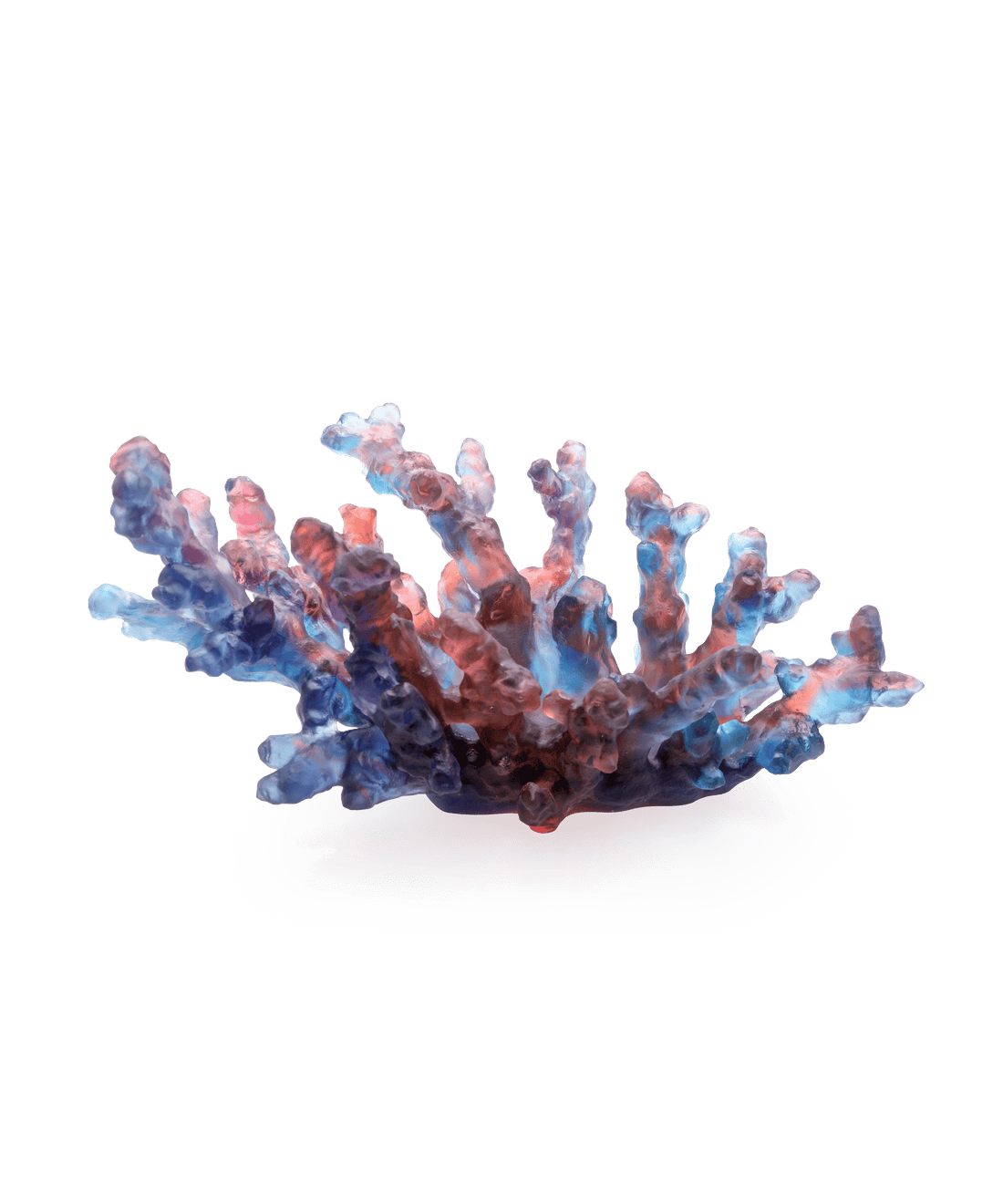 Mer de Corail Coupe moyen modèle Bleue et rouge - Daum
