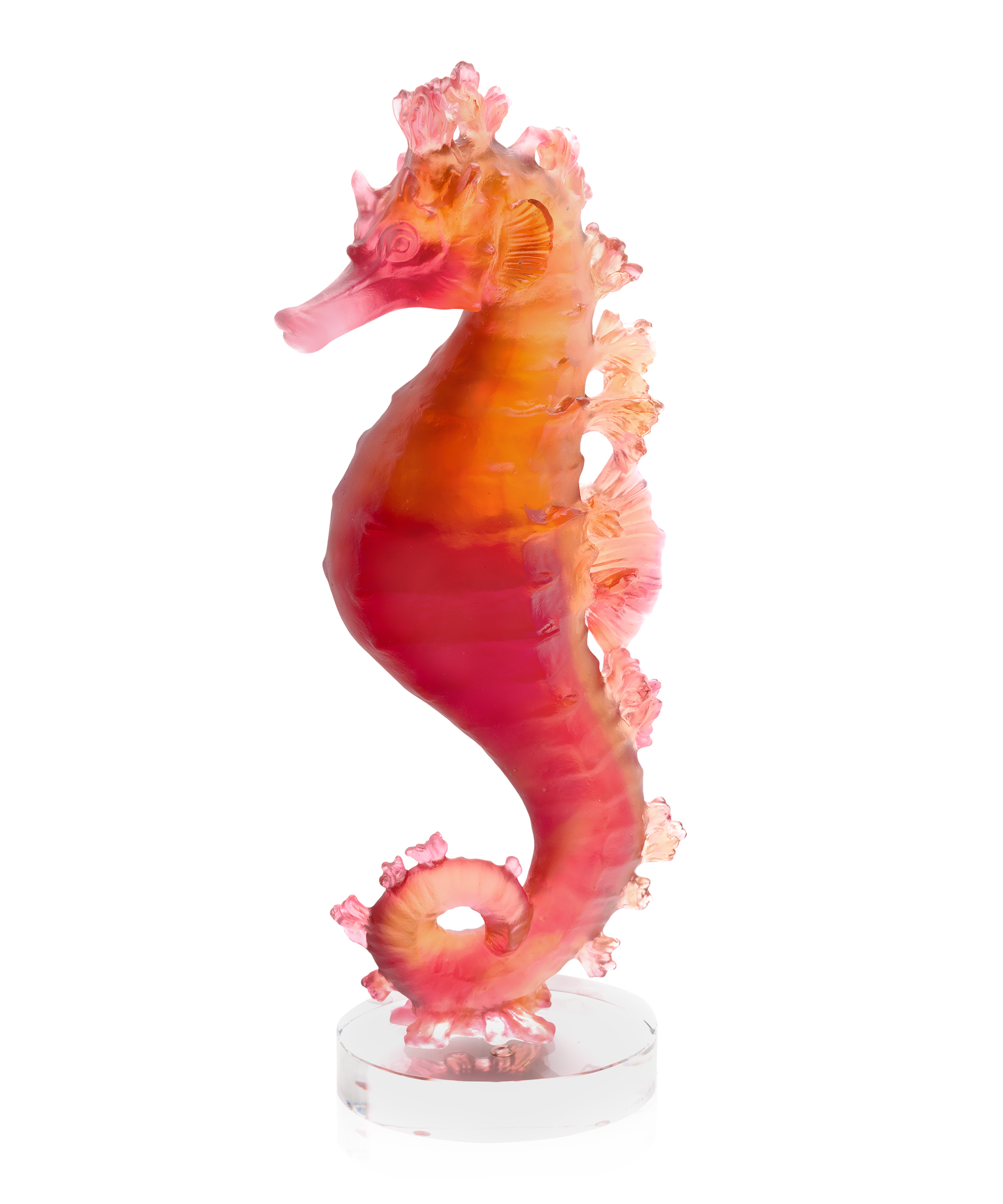 Mer de Corail Hippocampe Ambre rouge - Daum