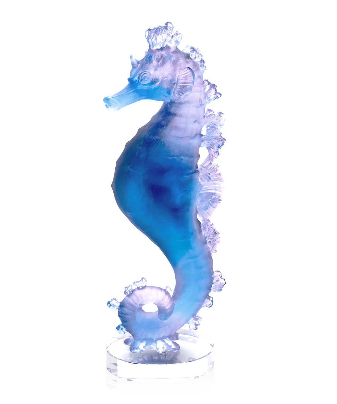 Mer de Corail Hippocampe Bleu et rose - Daum