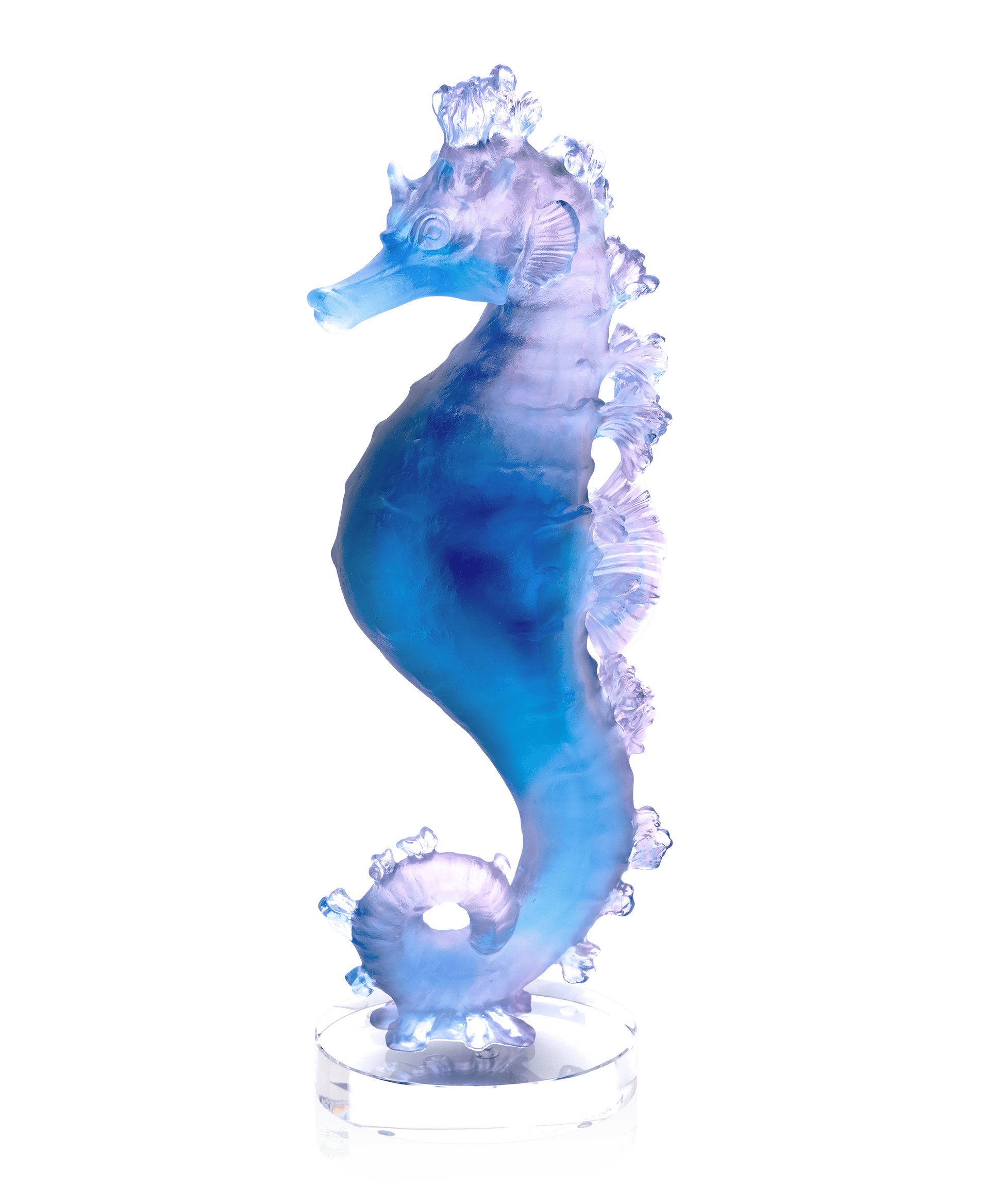 Mer de Corail Hippocampe Bleu et rose - Daum