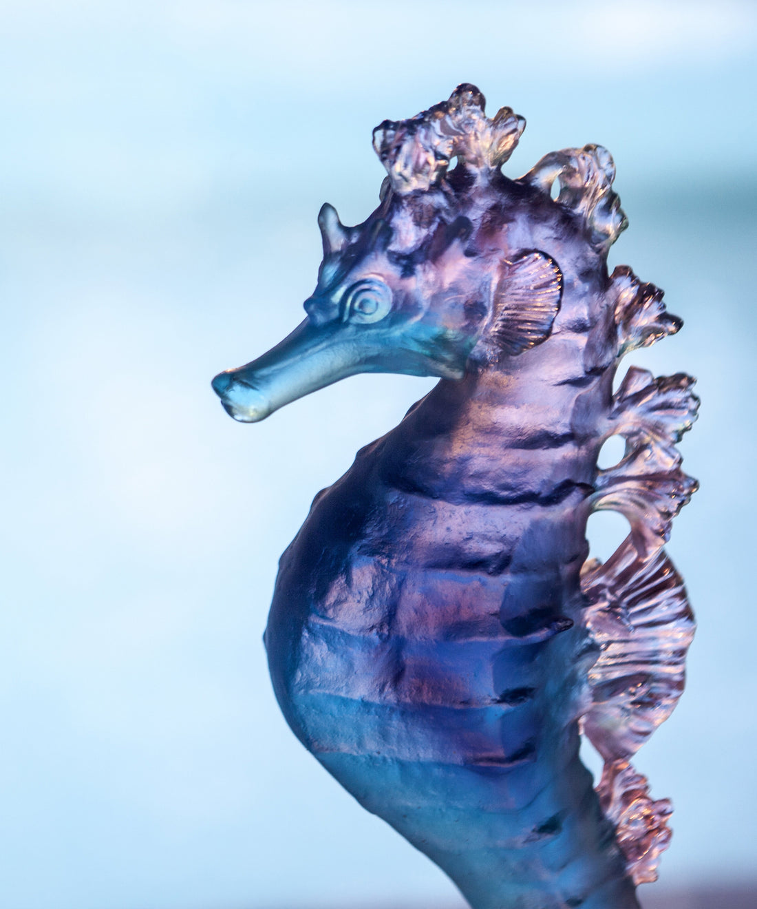 Mer de Corail Hippocampe Bleu et rose - Daum