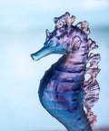 Mer de Corail Hippocampe Bleu et rose - Daum