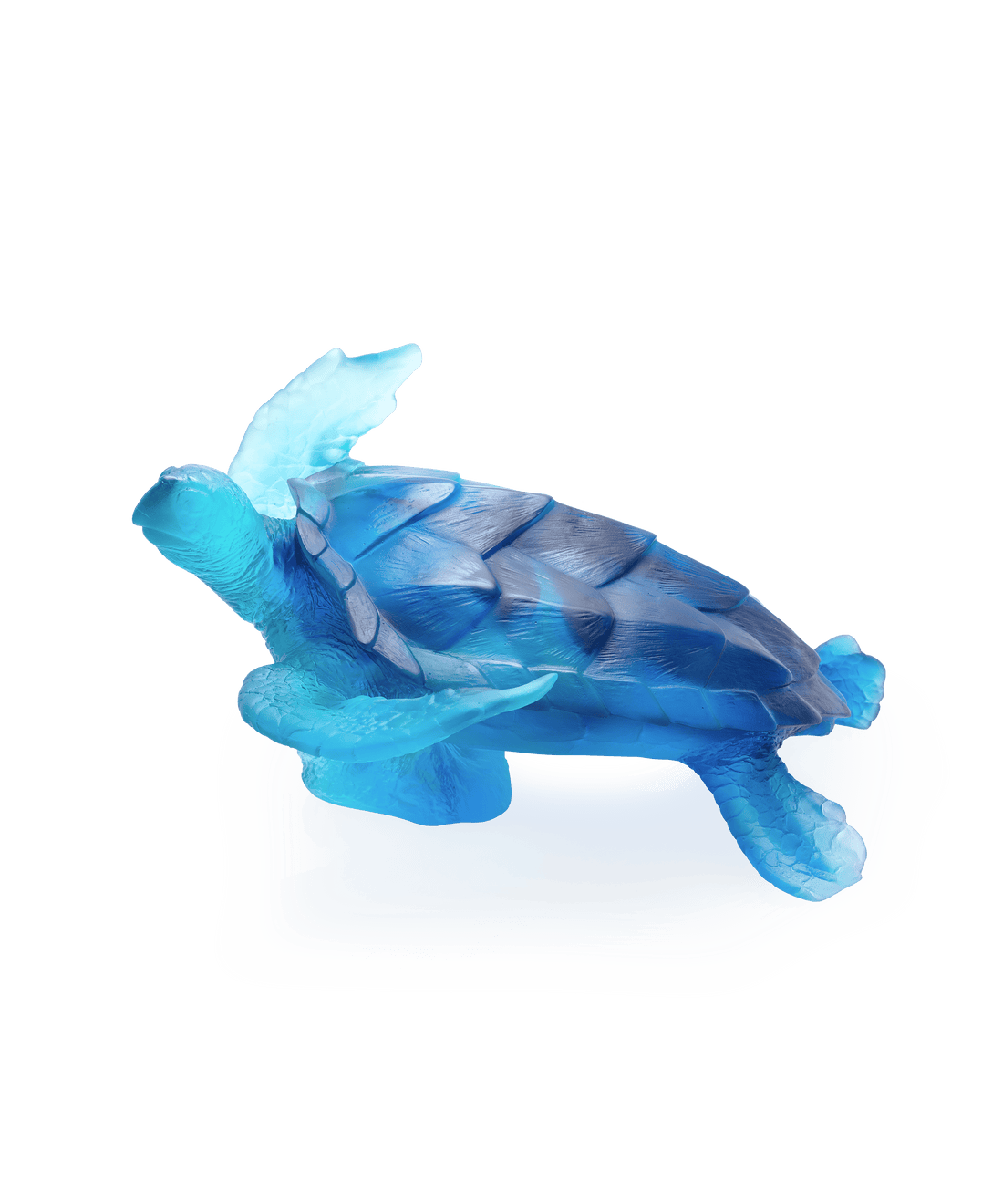 Mer de Corail Tortue de mer grand modèle Bleue - Daum
