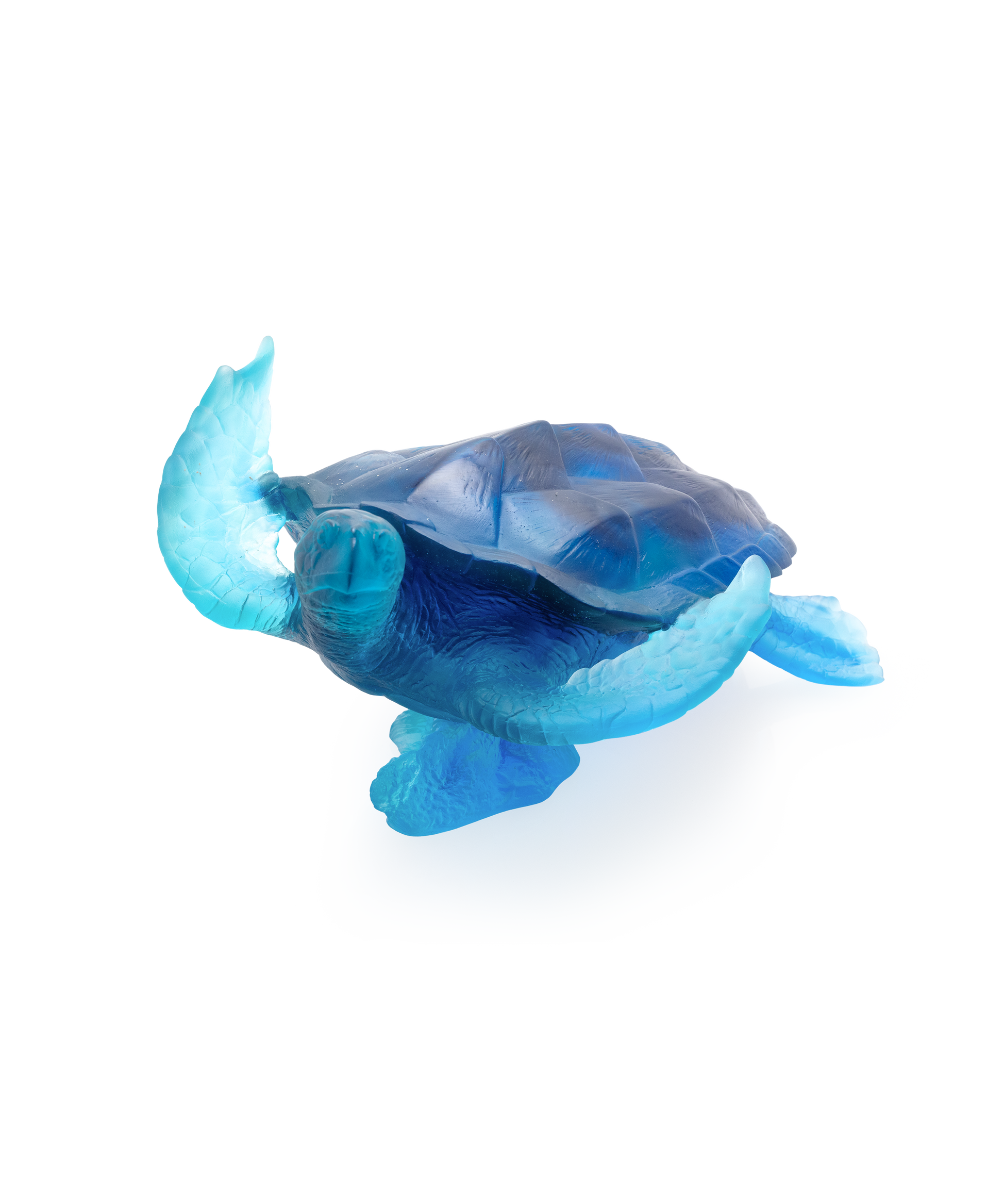 Mer de Corail Tortue de mer grand modèle Bleue - Daum