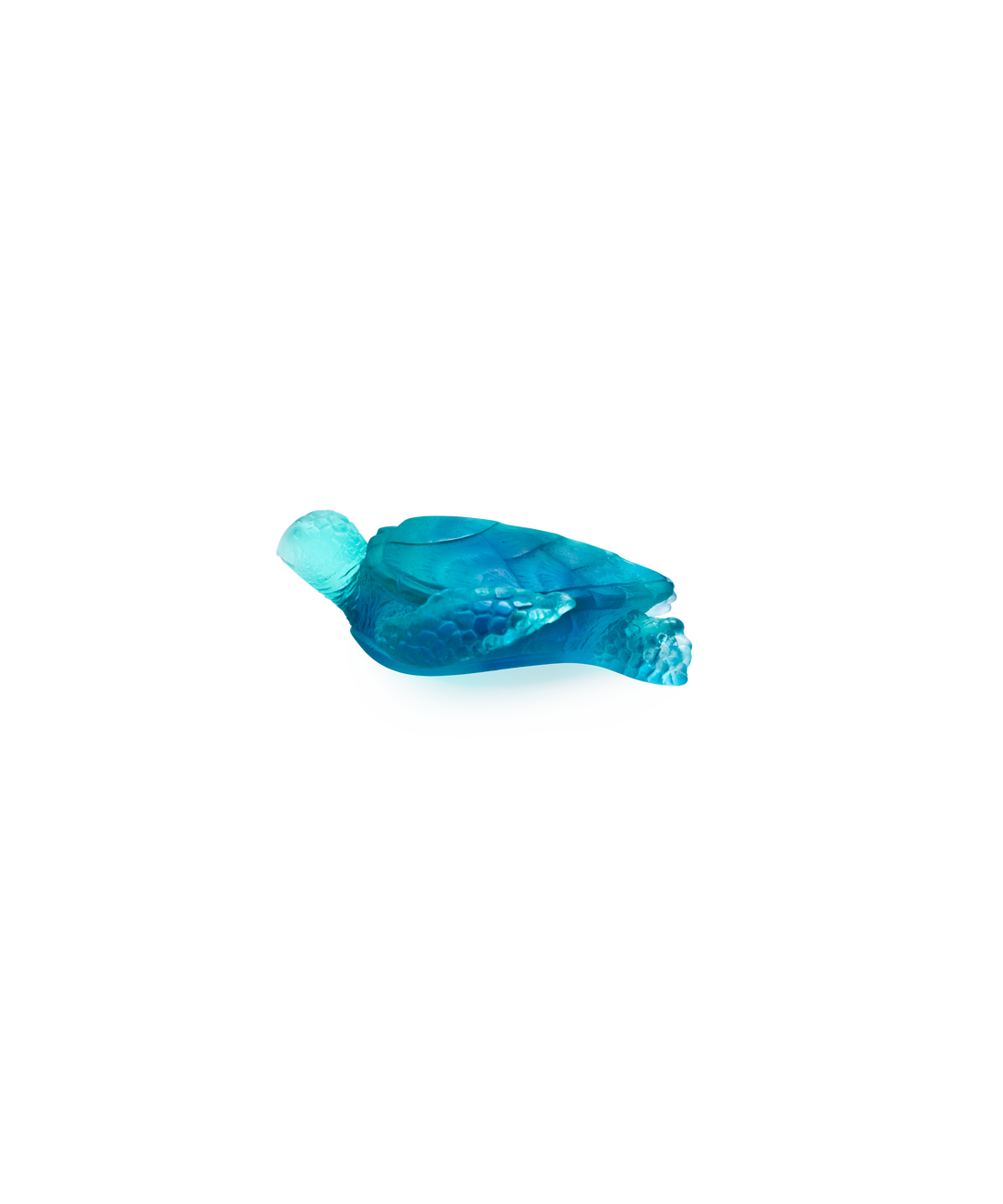 Mer de Corail Tortue de mer moyen modèle Bleue - Daum