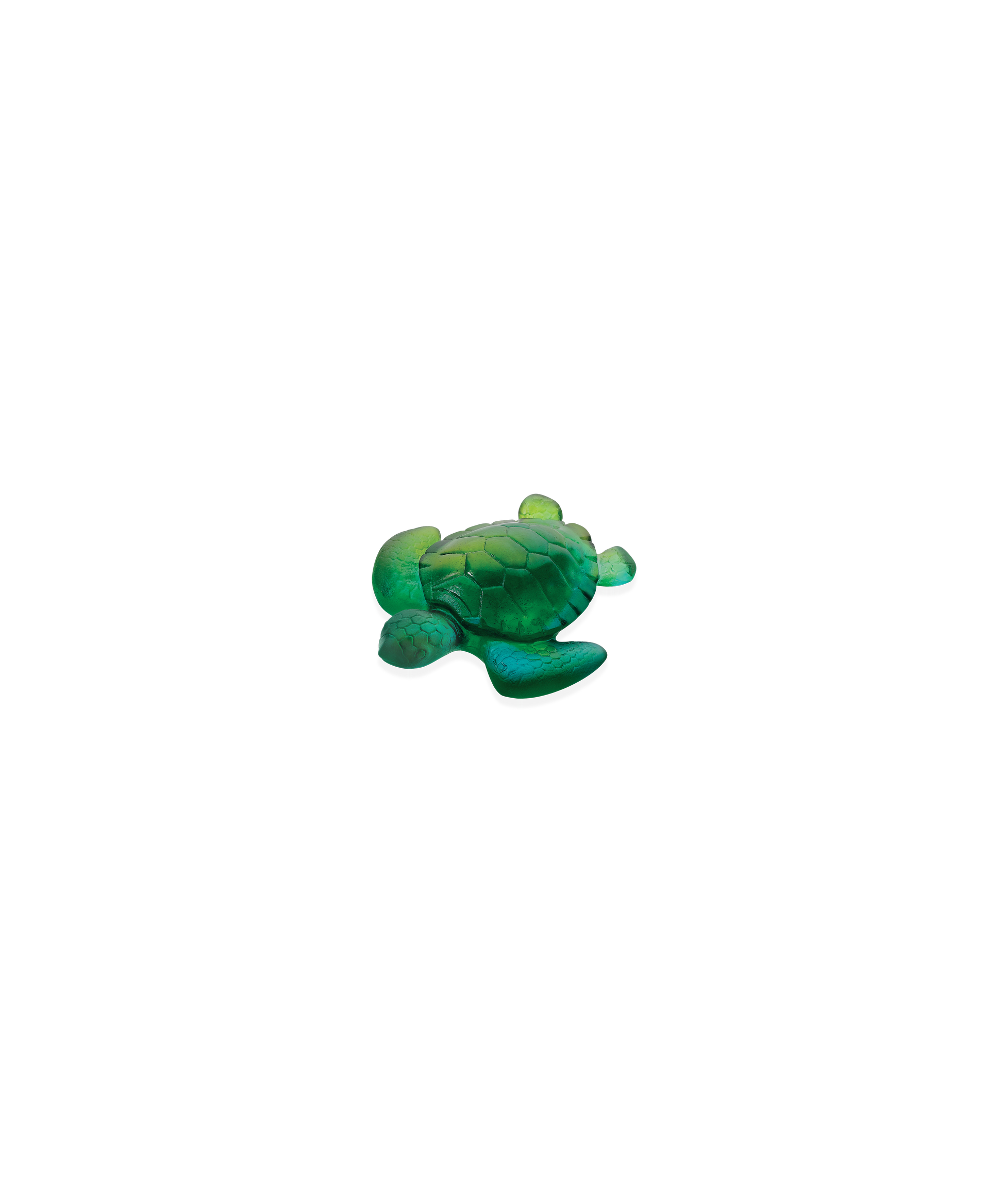 Mini tortue Turquoise - Daum