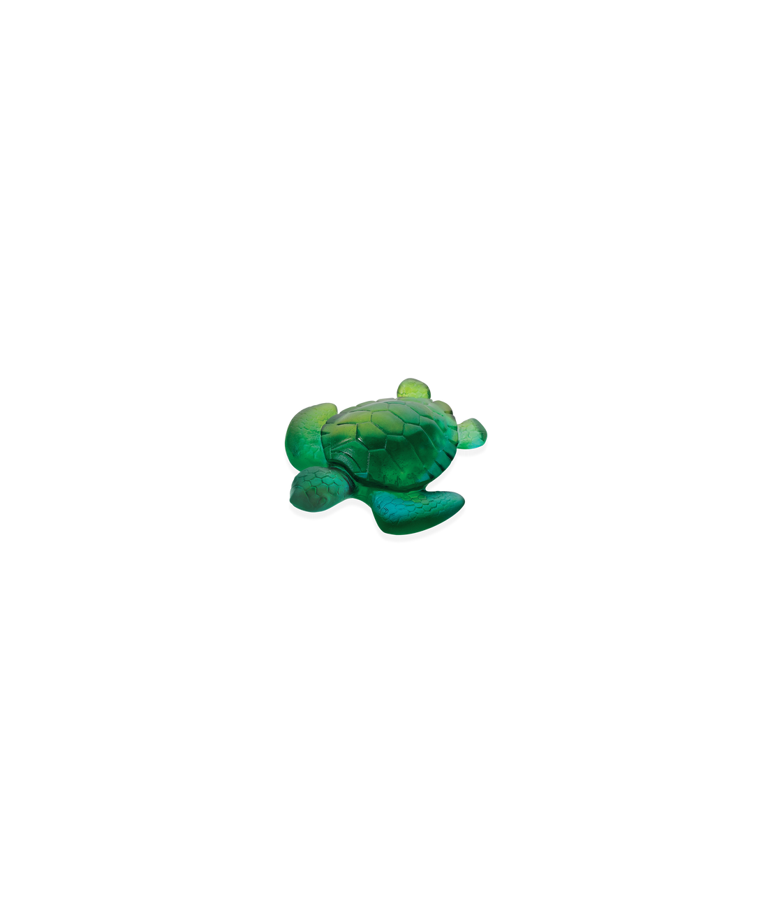 Mini tortue Turquoise - Daum