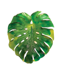 Monstera Applique grand modèle Verte de Emilio Robba - Daum