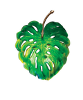 Monstera Applique petit modèle Verte de Emilio Robba - Daum