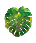 Monstera Feuille murale grand modèle Verte de Emilio Robba - Daum
