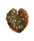 Monstera Feuille murale petit modèle - fixation courte Ambre de Emilio Robba - Daum