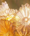 Or d'Abeille Vase petit modèle 250ex - Daum