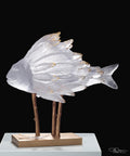 Punky Fish Blanc et or de Patrick Rougereau 25ex - Daum
