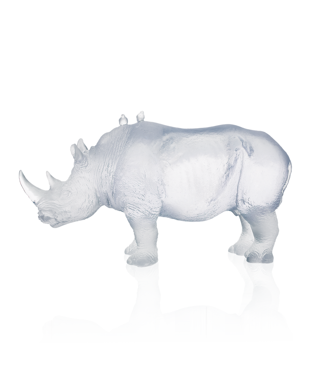 Rhinocéros Blanc de Jean-François Leroy 1000ex - Daum