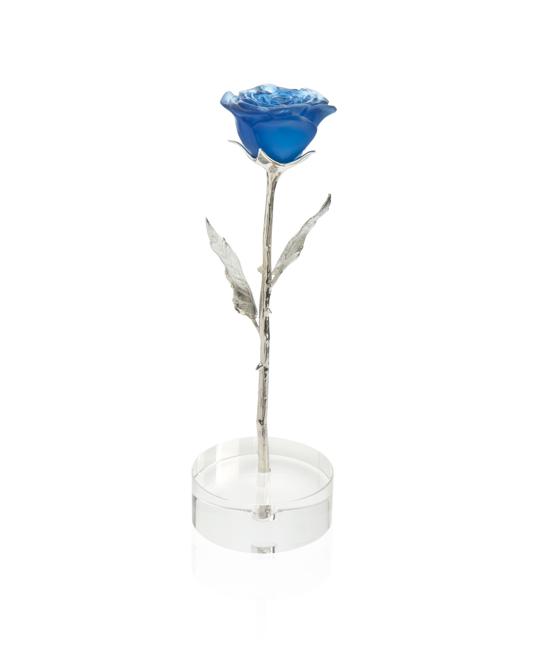 Rose Eternelle Bleu