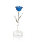 Rose Eternelle Bleu