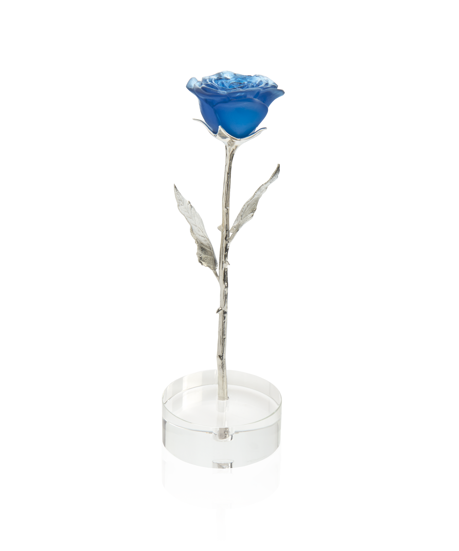 Rose Eternelle Bleu