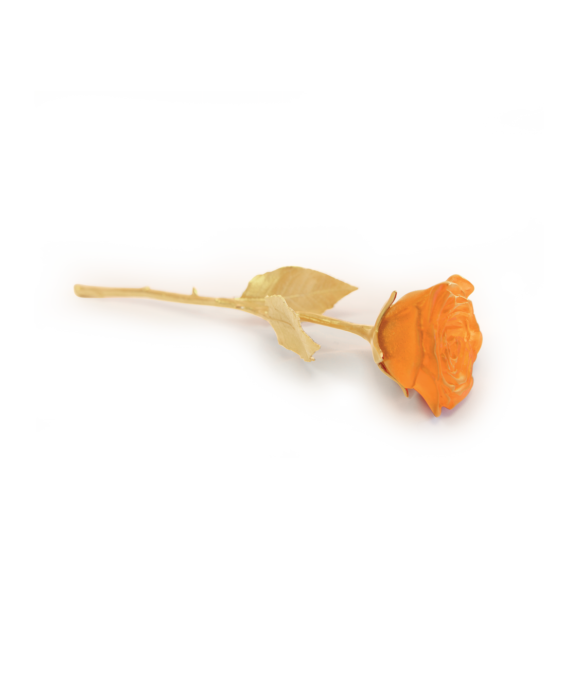 Rose Eternelle Orange - Daum
