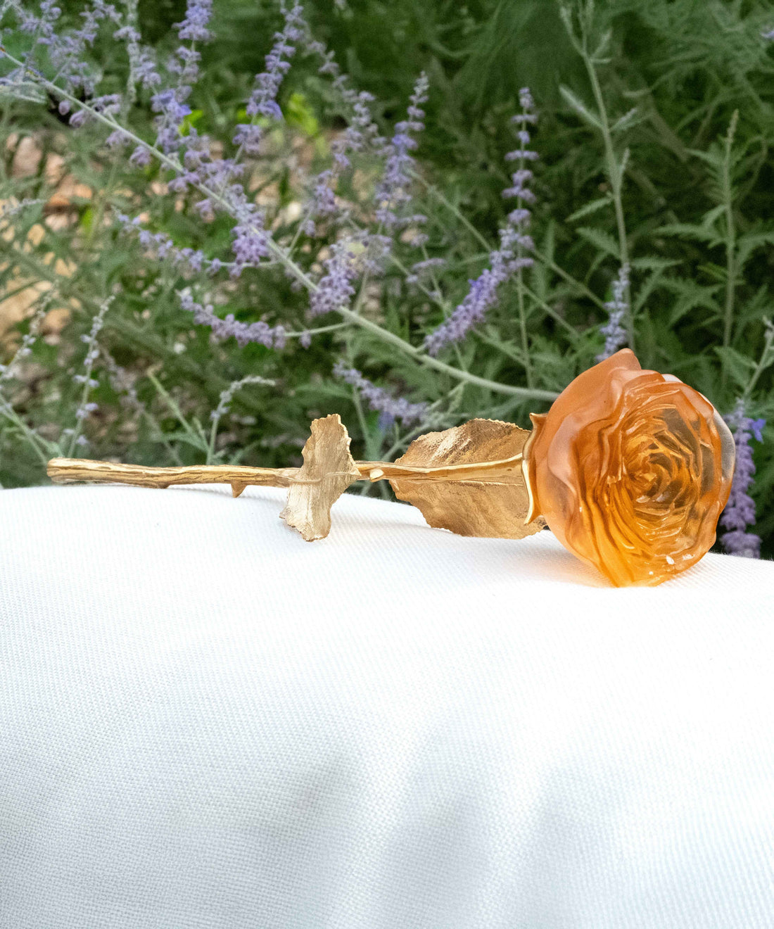 Rose Eternelle Orange - Daum
