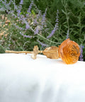 Rose Eternelle Orange