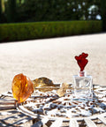 Rose Eternelle Orange