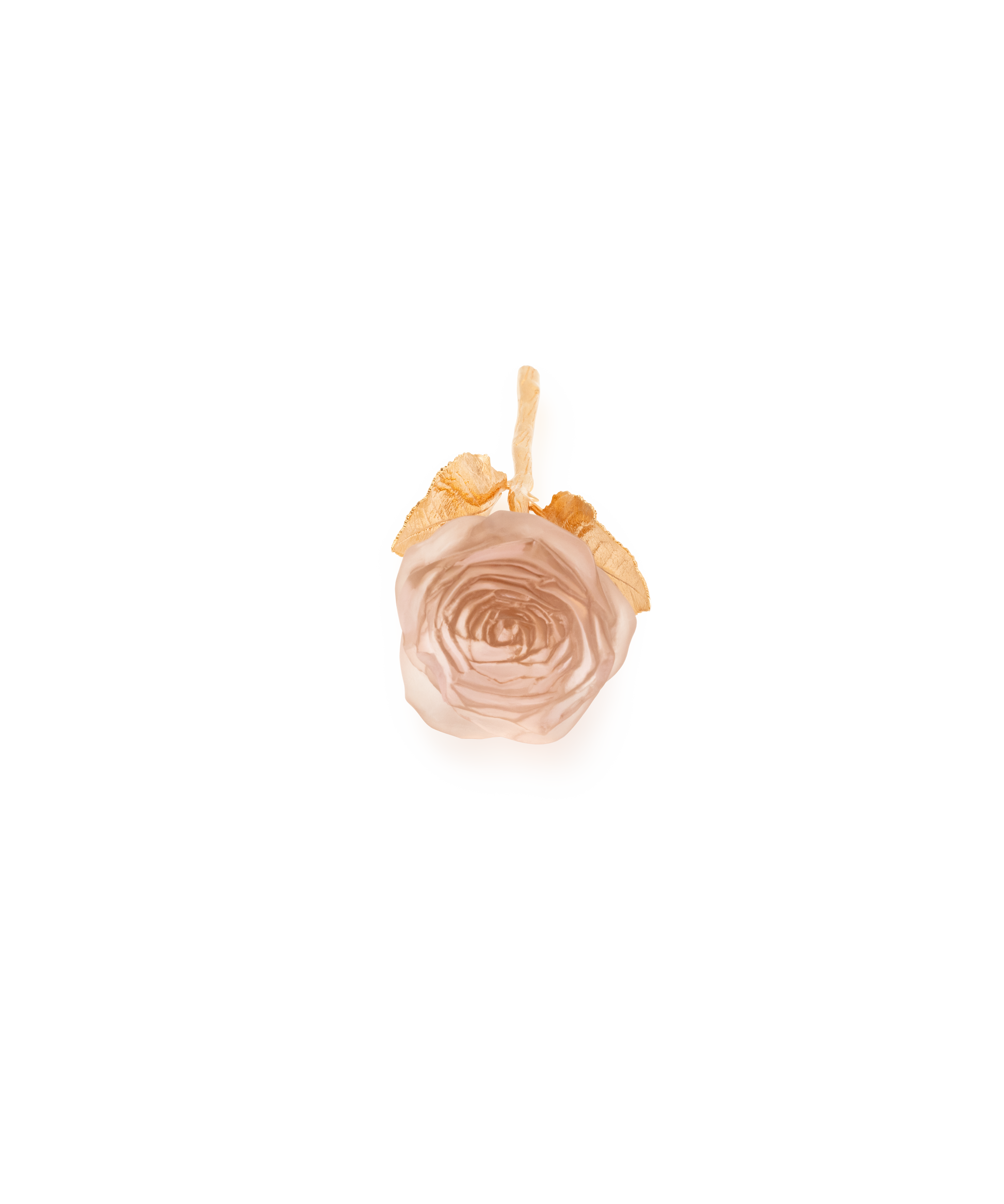 Rose Eternelle Rose poudré - Daum