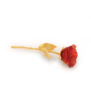Eternal Rose Red