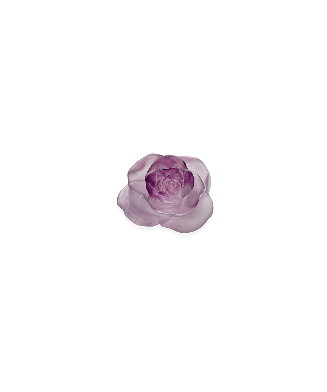 Rose Passion Fleur décorative Rose - Daum